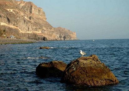Imagen de La Punta de La Aldea con una gaviota en un primer plano.