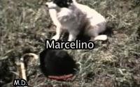 Cine Amateur: Marcelino (1974)