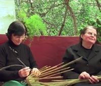 Saberes, semillas, sabores y sonidos. Mujeres Rurales de Gran Canaria